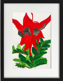 Camilla Bent, Desert Pea