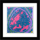 Chantelle McDonald, Eggstraordinary