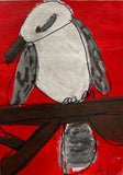 Alison Hall, Shane the Kookaburra