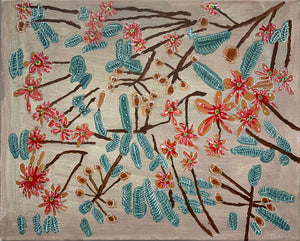 Therese Hill, Flowering Gums