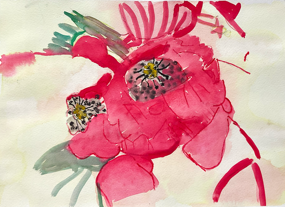 Angi Bulkin, Camelia