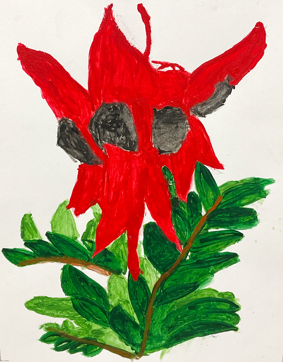 Camilla Bent, Desert Pea