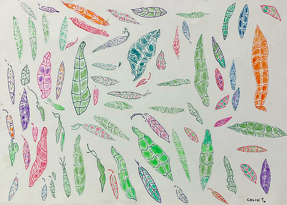 Colin (George) Thomas, Leaves of light