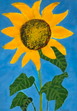 Dionne Badenhop, Sunflower