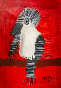 Alison Hall, Toby the Kookaburra