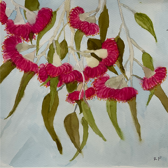 Rachel Frewen, Blossoms